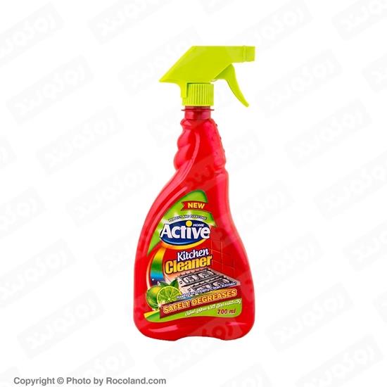 پاک کننده اجاق گاز و سطوح استیل 700 میلی لیتری اکتیو